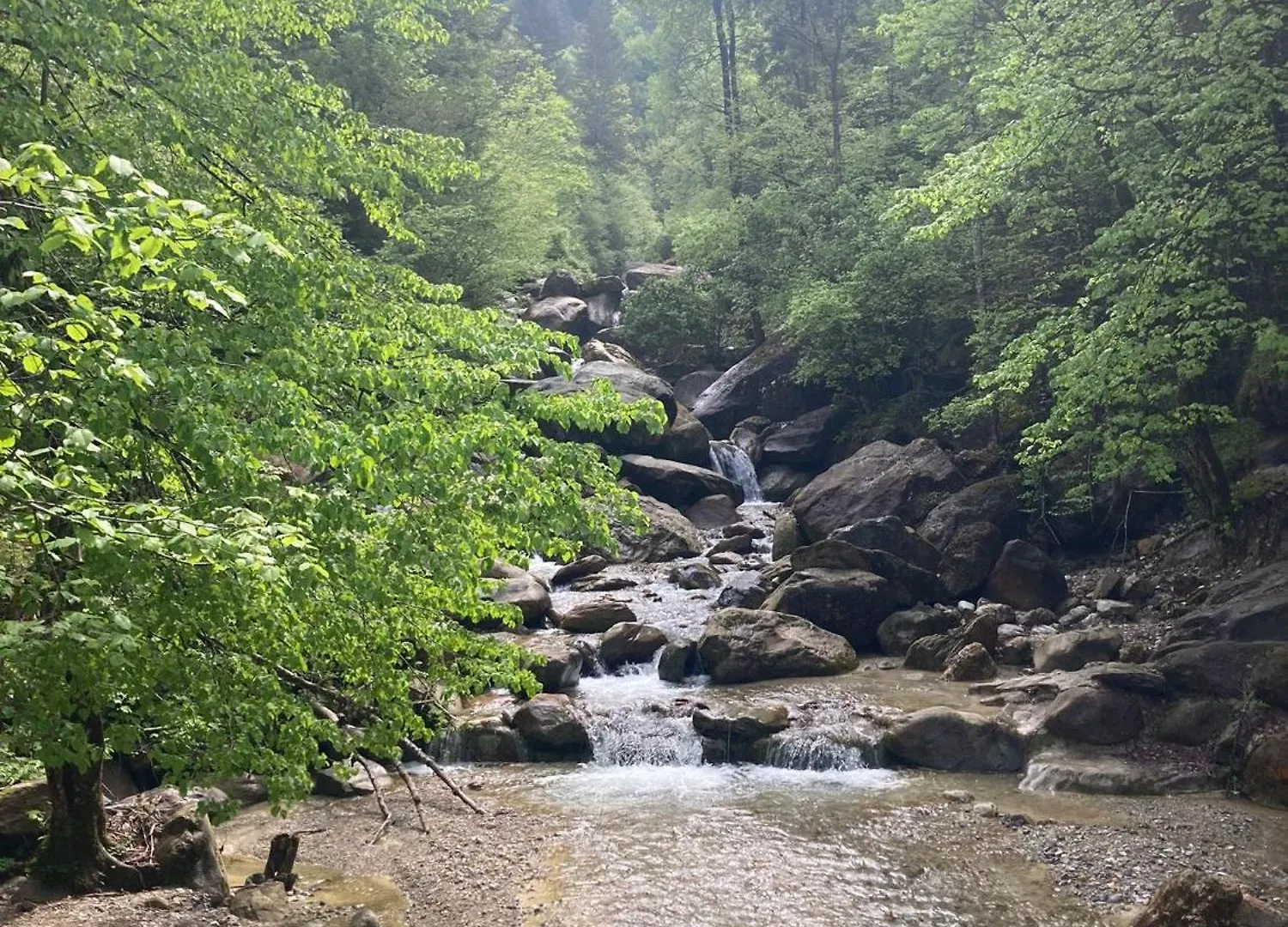 Ortighera Monolocale Relax Sulla Ciclabile Lenna Italy