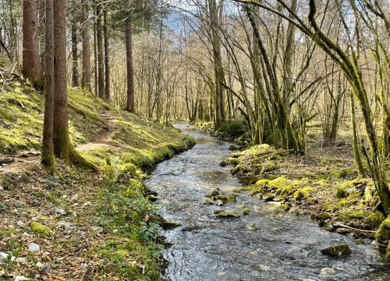 Ortighera Monolocale Relax Sulla Ciclabile Lenna Itálie